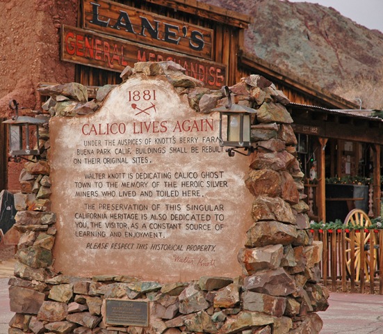 [Calico-03[2].jpg]