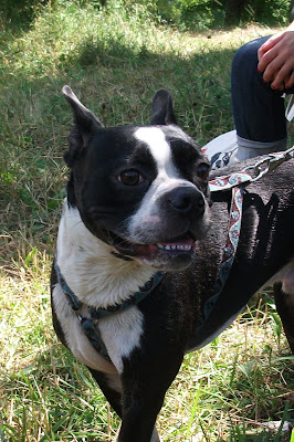 DSCF9422.JPG