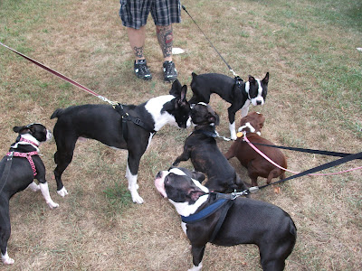 DSCF9497.JPG