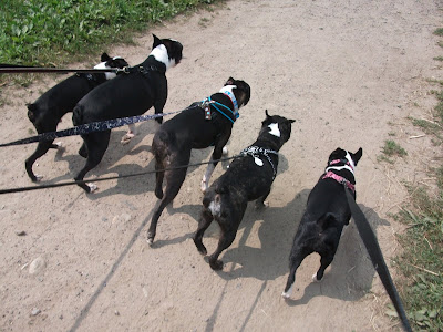 DSCF9501.JPG