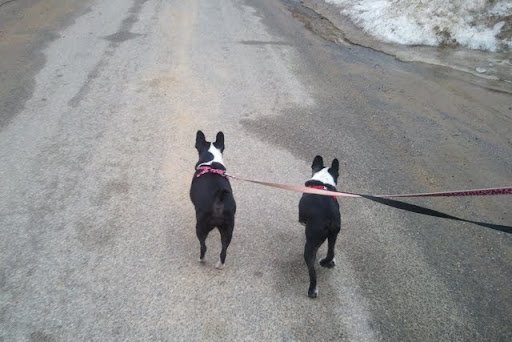 2011-03-05 15.57.59.jpg