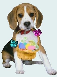 [PASQUA sb[11].jpg]