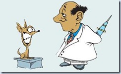 veterinario01 veterinario01