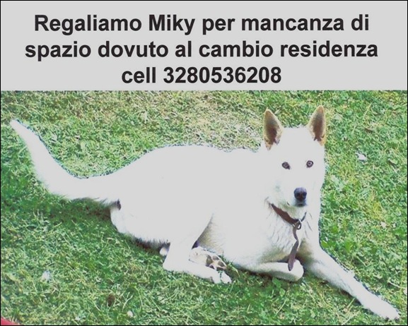 MILKY
