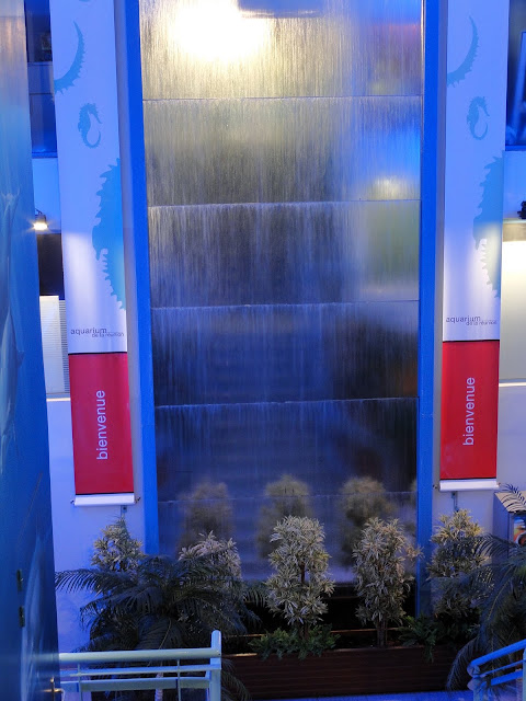 http://lh3.ggpht.com/_K7TVguVOEmo/StgffqcoGEI/AAAAAAAAAVs/lnw7rQ7MwNQ/s640/DSC02493.JPG