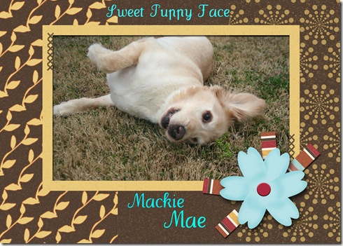 Mae Happy 2 Mae Happy 2