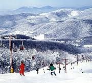 [snow skiing3[3].jpg]