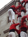 http://lh3.ggpht.com/_K8zYiW5EDX8/SZhPbVelYqI/AAAAAAAAB7A/qPYD86QFPfE/P2150176.JPG