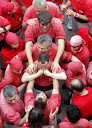 http://lh3.ggpht.com/_K8zYiW5EDX8/SfszXNa7PQI/AAAAAAAAD7k/GLXxkJB3L-Q/P4260164.JPG