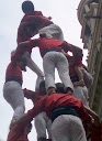 http://lh3.ggpht.com/_K8zYiW5EDX8/Sg19AhuHZKI/AAAAAAAAEN0/twhUwSIUyxU/P5100391.JPG