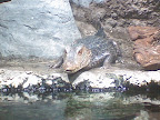 zoo