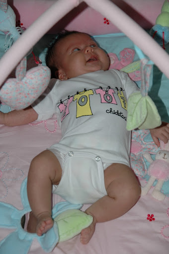 gordinha
