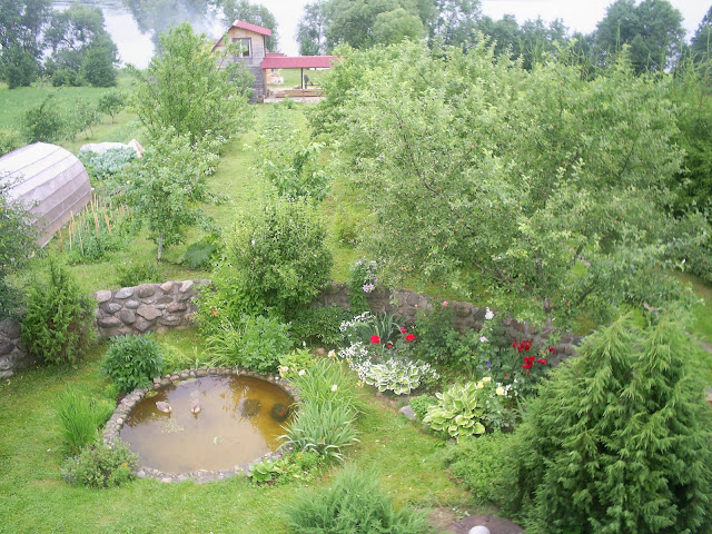 http://lh3.ggpht.com/_KBEO4FBZzao/TDm-1hRDSJI/AAAAAAAAD_0/GX_pqLrBn8A/s640/S5028402.JPG