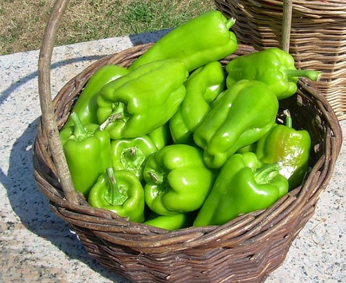 pimiento