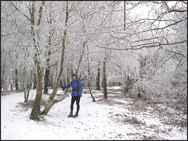 [0110woods[3].jpg]