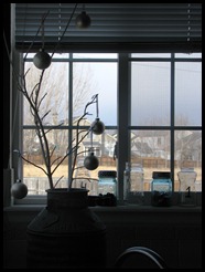 IMG_5378 IMG_5378