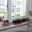garyhodgson's Front Windowsill garden