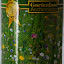 Wildblumen Seeds