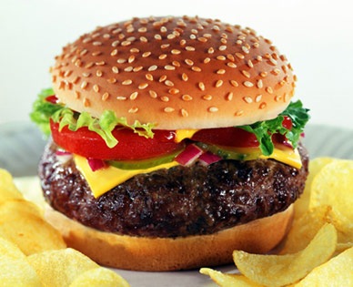 [cheeseburger[3].jpg]