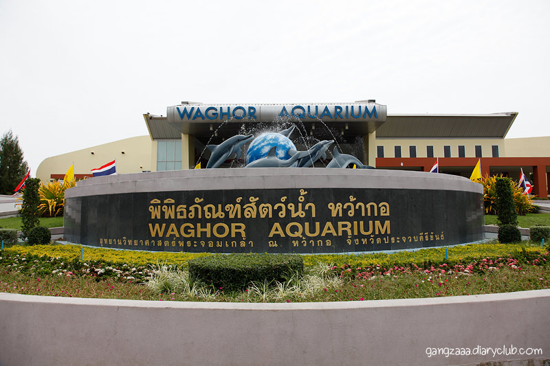 เบย์วิว บีช รีสอร์ท วันที่ 2 3