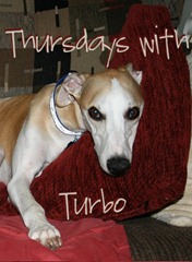 Thursdays with Turbo-1