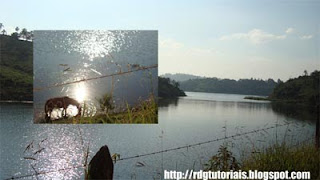 Montagem com fotos