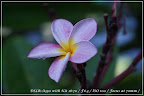 DSC01572 (Small).JPG
