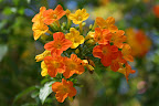 DSC02914.JPG