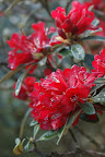 DSC02929.JPG