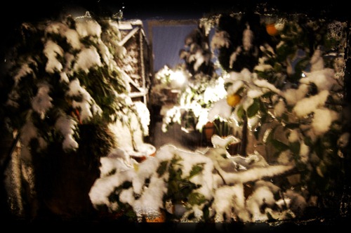 [nieve 2[10].jpg]