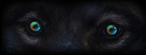 8a555692466d3b105c73237ccb33a233 ojos de lobo