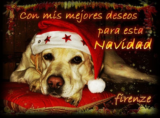 Felicitacion de Navidad Iron