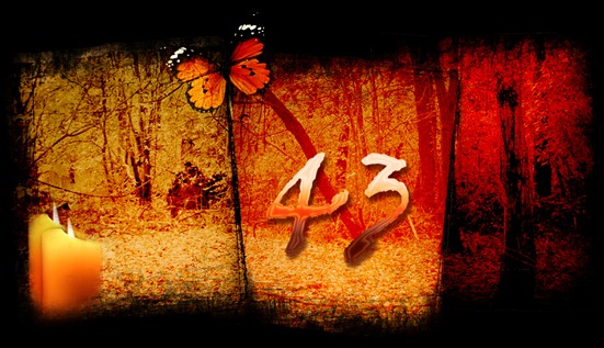 43