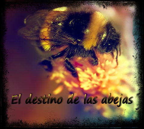 A_Bee__s_Paradise_by_Onceuponatime13