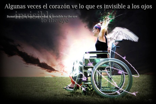 discapacidad