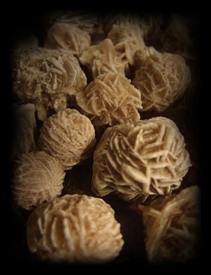 Desert_roses_by_Cadaceus Rosa del desierto