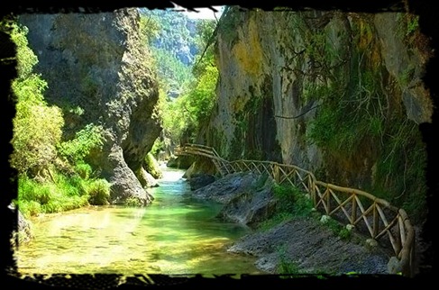 cazorla