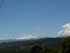 P1010004.JPG