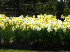 DSCN7942.JPG