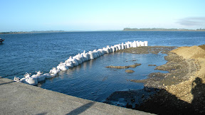DSCN8903.JPG