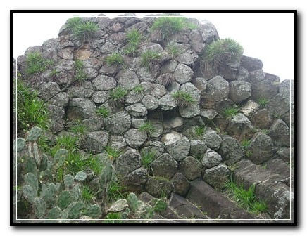 [dia-170310-8[5].jpg]