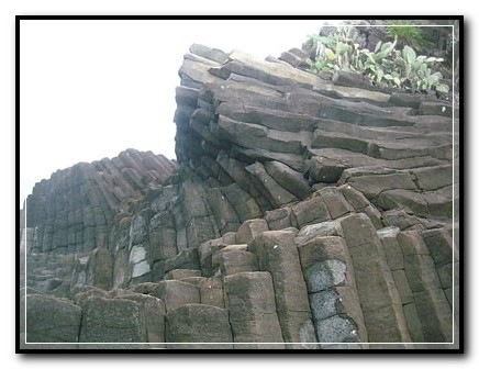 [dia-170310-9[5].jpg]