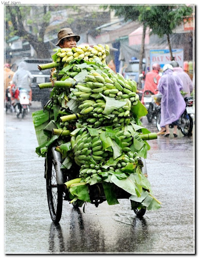 http://lh4.ggpht.com/_KSOH77vnC-4/TA5TPzL-uZI/AAAAAAAAFfg/0Rw6W7IEccg/s1600-h/racho_TRAN_THE_PHONG__KK%5b3%5d.jpg