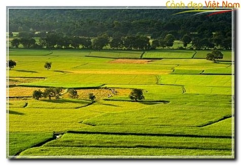 Very wonderful photos of a peaceful Vietnam with friendly and hospitable people