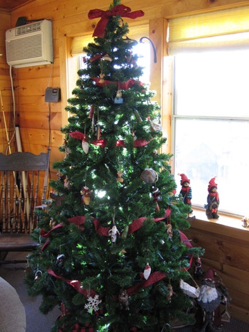 [porch-tree[3].jpg]