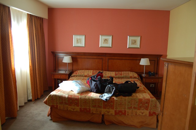 [Hotel Bedroom[2].jpg]