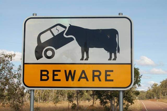 [Car and Cow sign[2].jpg]
