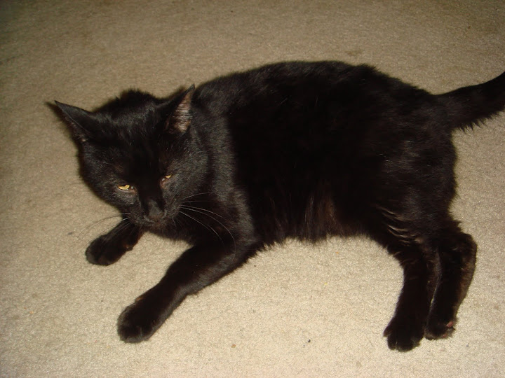 Merlin