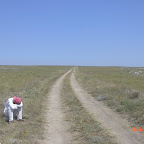 CIMG2843.JPG