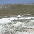 CIMG2839.JPG